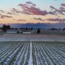 【北海道の絶景写真11枚】雄大な山々のふもと…キタキツネの物語と、人の営みを感じて／日高山脈襟裳十勝国立公園