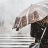 梅雨入り前に傘事情を調査！自分用の傘を何本持っていますか？