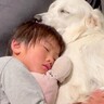 初めて大型犬を飼って1年……子どもと一緒に成長する軌跡が『泣ける』と1万9000いいね「愛されてるの伝わる」「素敵なファミリー」