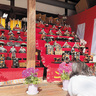 群馬県高崎市の新町内44か所に雛人形を飾る「新町ひなまつり」を2月4日～3月3日に開催