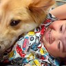 仲良しな元野犬の子犬と赤ちゃん→可愛さが限界突破している『幼児まくら』をする光景が49万再生「幸せの詰め合わせ」「癒された」と絶賛