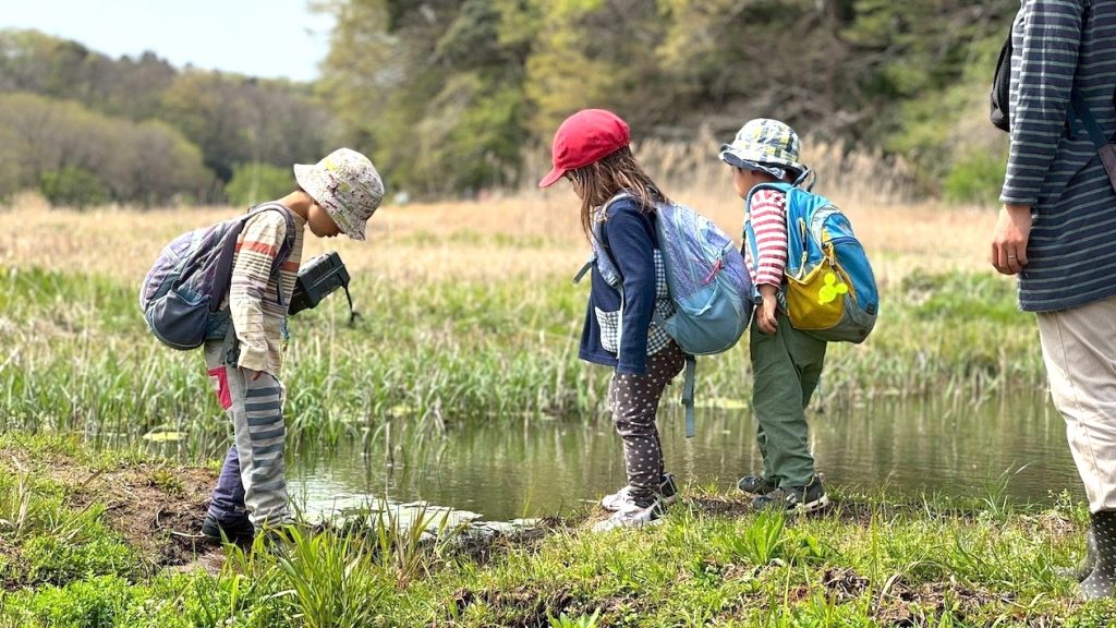 佐倉市】生きる力を育てる 森のようちえん さくらんぼ - Yahoo