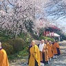 大般若経の転読行　松田町の桜観音で
