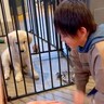 男の子が赤ちゃん犬に『オテとフセの見本』を見せたら…予想外すぎる『まさかの結末』が20万再生「は？に笑ったｗ」「素敵な家族でほっこり」