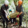 私でもできる?登山道整備　通れなくなった歴史の道を復活　参加者を募集【河津町・二本杉歩道】