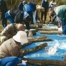 上川の里　山の恵みに感謝　原木しいたけ栽培講習会