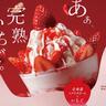 完熟いちご×北海道ソフトクリームがたまらん...♡いちごたっぷりのデザートは期間限定だよ。