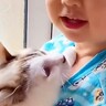 『猫を抱っこしたい赤ちゃん』ママの真似した結果…『天才的な運び方』が可愛すぎると3万1000再生「おりこうさん」「得意げで嬉しそうｗ」