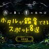 【兵庫県】ホタルが観賞できるスポット8選！初夏の夜の絶景を見に出かけよう♪(2025)