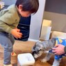 ご飯の前におやつを食べてしまった犬→すると男の子が…『怒りながらもご飯を用意してあげる光景』が尊いと5万再生「可愛すぎ」「しっかり者」