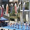 こいのぼりの寄付募る　センター南、春まつり