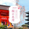 ［2024］京都で外せない桜の名所10選