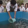 ウォットに＜水槽でアマモを増やす大実験＞子どもたち向けの看板を設置【静岡県浜松市】