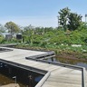 綾瀬市光綾公園　魅力あふれる｢バラ庭園｣　５月１日正午にオープン