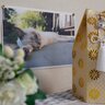 愛猫を亡くしたときに…悲しみを癒やす『セルフケア』の方法3選　悲しむことは悪いことじゃない