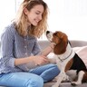 犬が『わがまま』になる飼い主のNG行動5つ　愛犬を自分勝手にさせないための注意点とは？