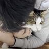 甘えてきた猫にお父さんが『ギュー』っと抱きついた結果…可愛すぎる光景に笑顔になる人続出「絶対に抗議しててかわいい」「愛が溢れてる」