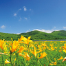 【南会津町・北塩原村・喜多方市・郡山市】初夏のおすすめ花スポット4選