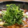 【葵区・薫季炭】“肉山”がリニューアル!