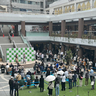 京橋「コムズガーデン」リニューアルオープン　記念イベントに宇都宮まきさん