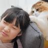 『ほっこり』猫が女の子の髪で遊び初めた結果…やり取りの様子が微笑ましすぎると12万再生「口元緩んだ」「シラを切ってるところがｗ」