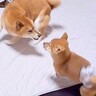 子犬が布団に乗ろうとしただけなのに…先住犬による『鉄壁の守備』が面白すぎると328万再生「必死で可愛いｗ」「全然屈してないの草」と爆笑