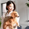 犬の正しい『抱っこ』の仕方とは？覚えておきたいポイントや抱くことの必要性まで