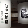 「不屈の情熱の軌跡」を辿る、過去最大規模の回顧展　『田中一村展　奄美の光