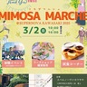 ヨガや音楽、緑と共に　３月２日　大宮町で