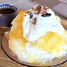 星が丘｜甘夏とヨーグルトのさわやかな味わいに思わず舌鼓♪星が丘テラスの人気店が贈る至福のかき氷