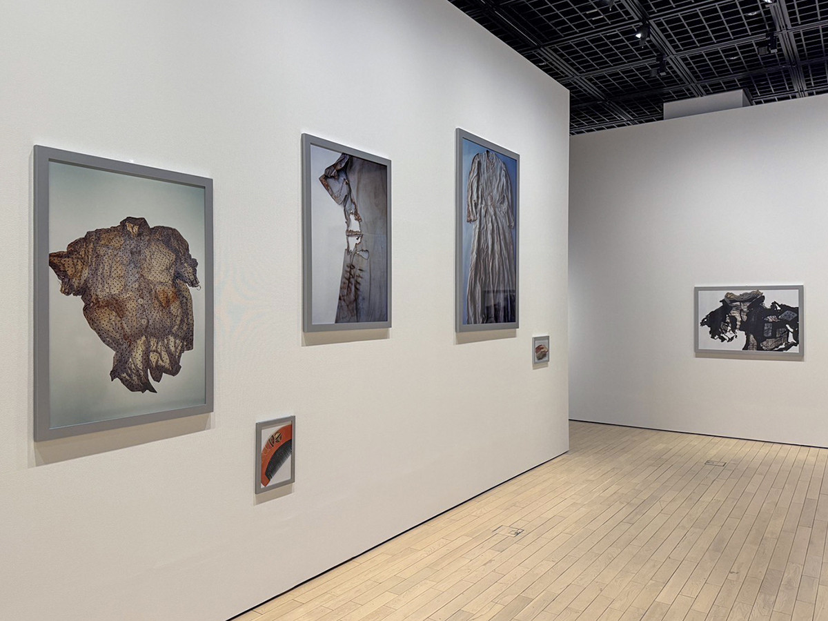 石内都ら5名が出品 ― 東京都写真美術館30周年で「作家の現在 これまで