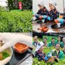 ５月１日に開催された「令和７年度宇治新茶