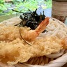 富山まちなかの定番ランチ「天ざるうどん」【鶴喜】つるっとコシある手打ち麺にさっくり海老天2本で世代を問わず大人気