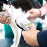 飼い猫へのマイクロチップ装着が義務に　違反者には10万円近い罰金も　英国