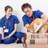 『動物病院がニガテな猫』の通院ストレスを減らしたい！試したい5つのアイデア