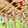【島田・大井神社】夏に行きたい、水の女神様を祀る神社。風鈴回廊や夏限定の水みくじに御朱印も！8月1日は夏祭りを開催