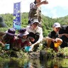 川面の群舞復活に期待！　小川川支流水路にホタルの幼虫の餌「カワニナ」放流　中小川地区住民ら一丸