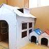 引越し前に、猫の成長と『歴代の段ボールハウス』を振り返ったら…まさかの『お世話になりすぎた』姿に「パパ泣いちゃう…」「倒壊事故ｗ」の声