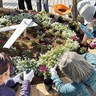 生ごみ堆肥
