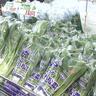 冬でも人気の“直売所”地元野菜がおトク！いまが旬のオススメ野菜を紹介【恵庭市】