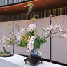 22日から春の茶華道展　サルビアホールで