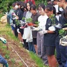 西柴中学校　唐辛子の苗植え体験　「金澤八味」の材料に