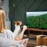 犬が『テレビに夢中』なときの心理３つ　見ている時の愛犬の気持ちや興味を持つ理由について解説