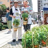 初夏告げるほおずき市