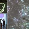 子どもたちの感性を刺激！『魔法の美術館