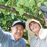 名物の梅
