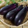 おつまみにもってこい。切って揉むだけの「ナス」の最高にウマい食べ方