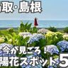 【鳥取・島根】あじさいスポットまとめ５選！海や列車と一緒に見えるスポットも。