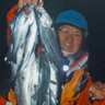 霞ケ浦ふ頭のエサ釣りで42cm頭にマダカ（セイゴ）14匹【三重】アオイソメにヒット