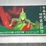 【佐野美術館で「今森光彦の地球昆虫紀行」展。インドネシアの「ホタルの大木」、オーストラリアの高さ2メートル超のアリ塚。命をつなぐ必死の所業／三島市】